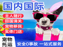 天河机场空运国际宠物托运 【国